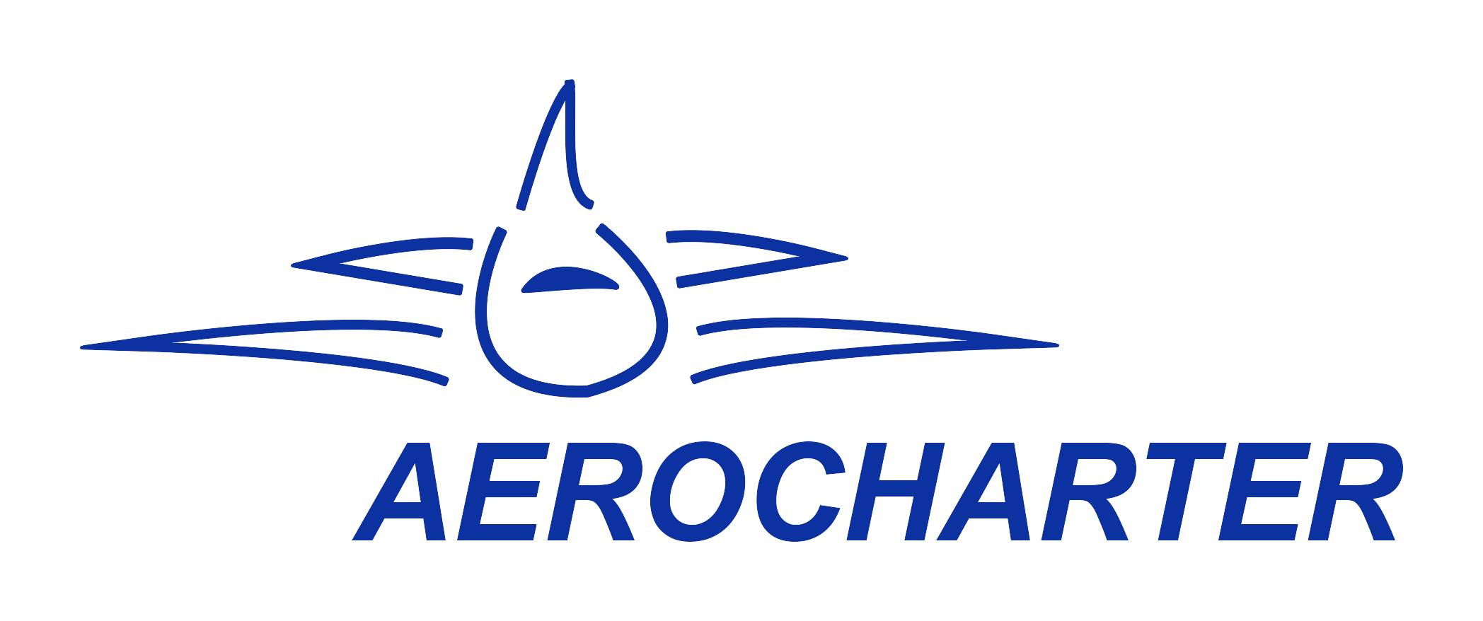 Aerocharter
